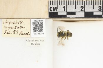 Media type: image;   Entomology 785735 Aspect: labels